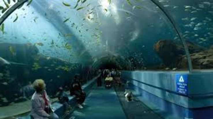  Tropical Aquarium Trip Packages