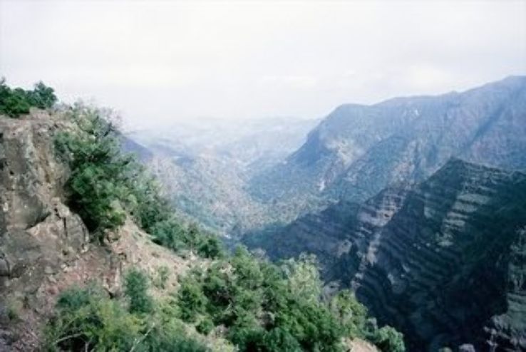 Day Forest National Park Trip Packages