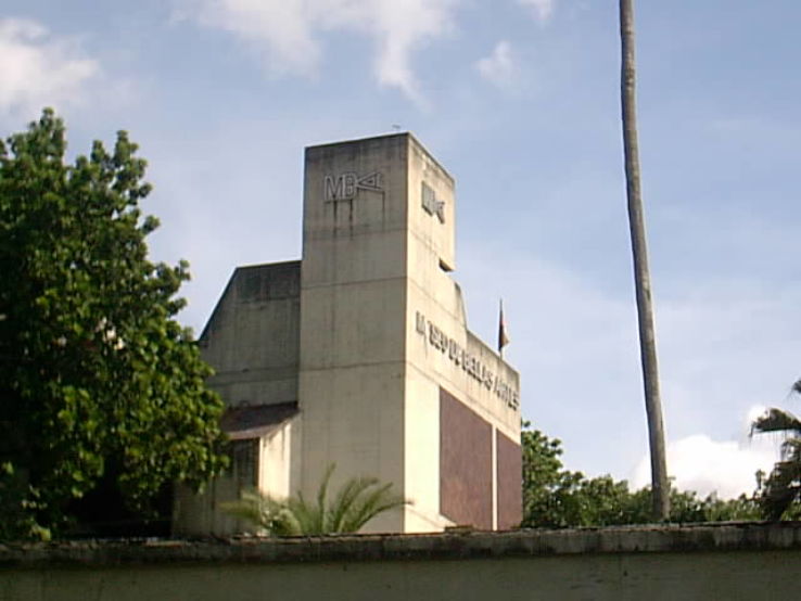 Museum of Fine Arts Trip Packages