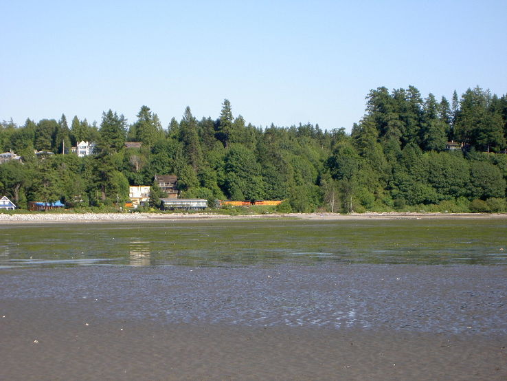 Crescent Beach, Surrey  Trip Packages