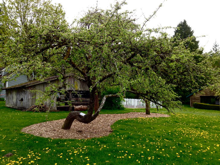 Historic Stewart Farm in surrey Canada - reviews, best time to visit ...