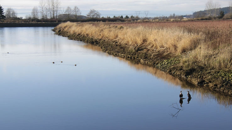 Serpentine Fen Trip Packages