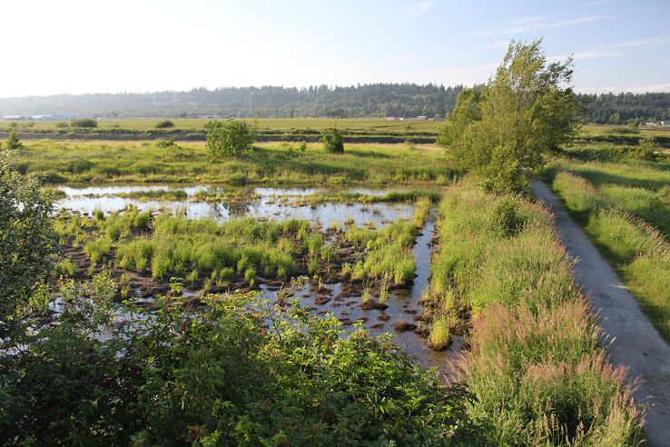 Serpentine Fen Trip Packages