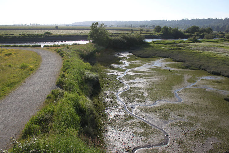 Serpentine Fen Trip Packages