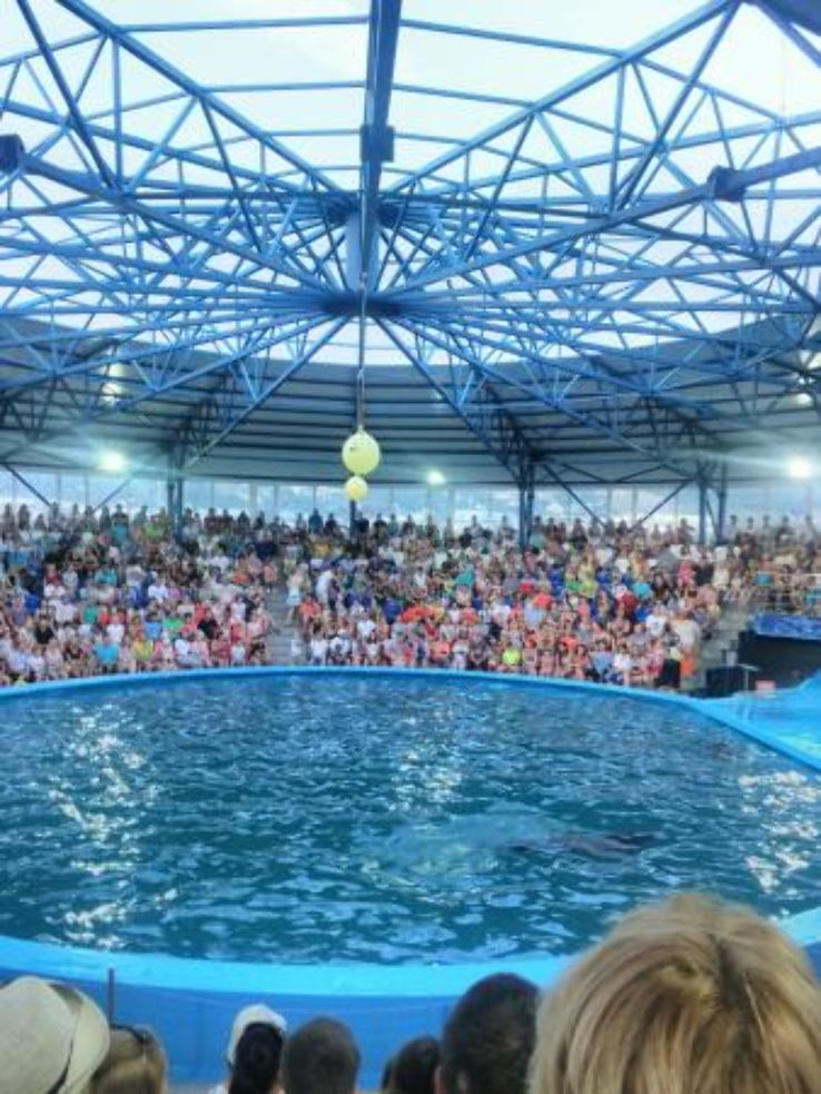 Dolphinarium Riviera Trip Packages