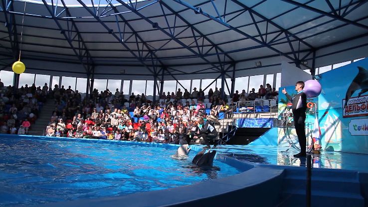Dolphinarium Riviera Trip Packages