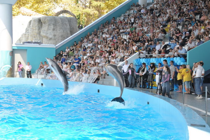 Dolphinarium Riviera Trip Packages