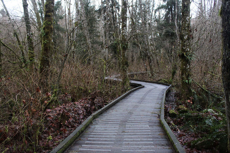 Tynehead Regional Park Trip Packages