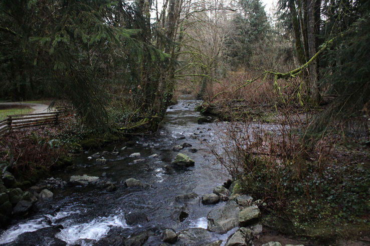 Tynehead Regional Park Trip Packages