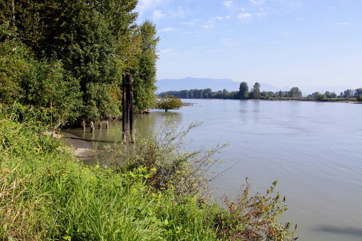Surrey Bend Regional Park Trip Packages