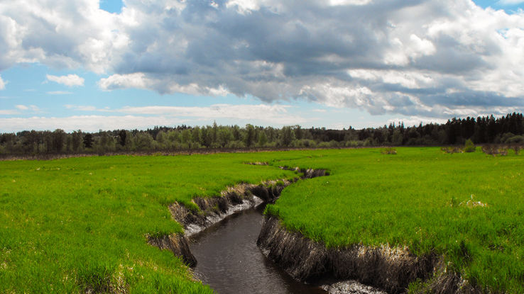 Surrey Bend Regional Park Trip Packages