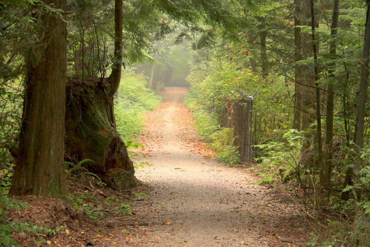 Green Timbers Urban Forest Trip Packages