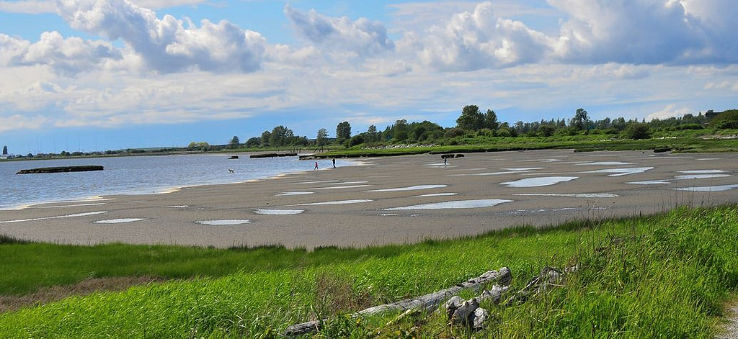 Mud Bay Park Trip Packages