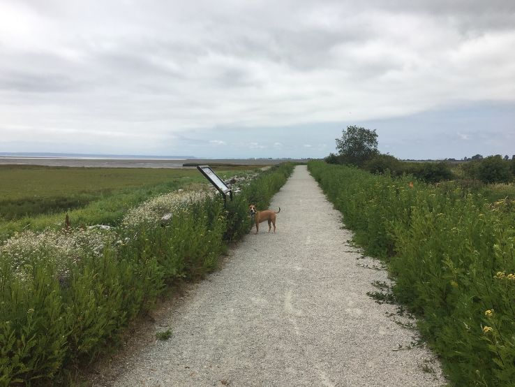 Mud Bay Park Trip Packages