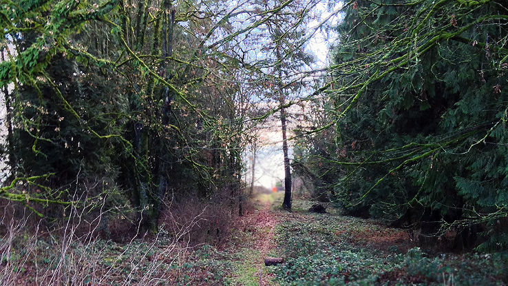 Bose Forest Park Trip Packages