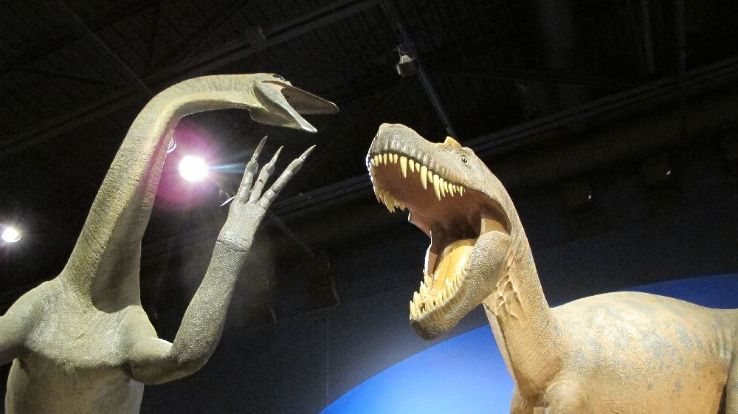 The Exploration Place Trip Packages