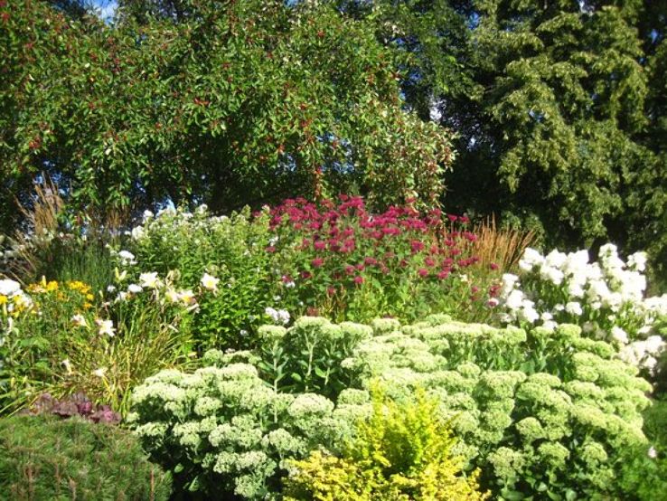 Lheidli Tenneh Memorial Park Trip Packages