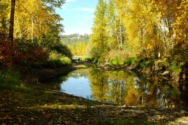 Cottonwood Island Nature Park Trip Packages