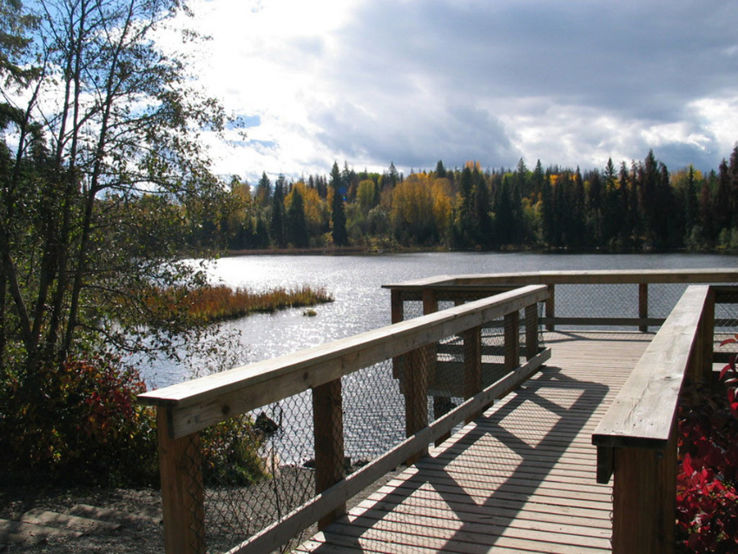 Forests for the World Trip Packages