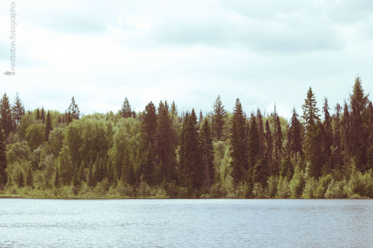 Forests for the World Trip Packages