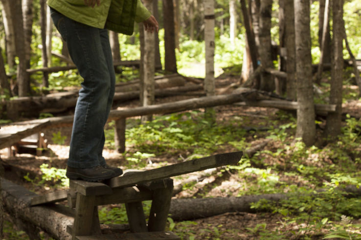 Forests for the World Trip Packages