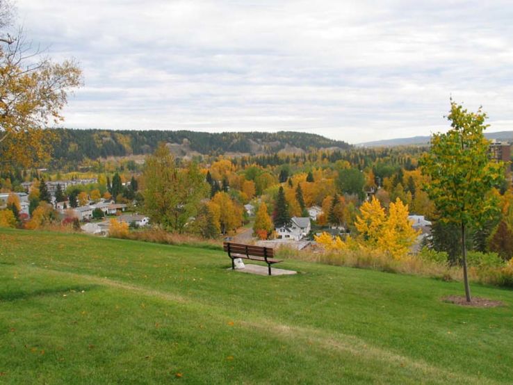 Connaught Hill Park Trip Packages