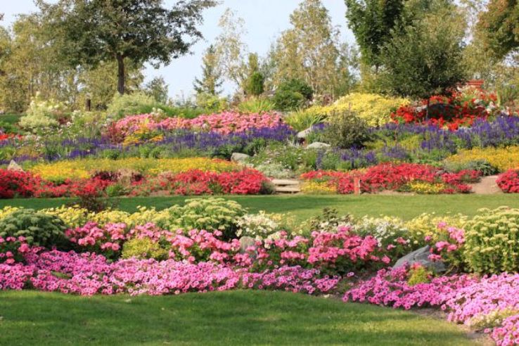 Connaught Hill Park Trip Packages