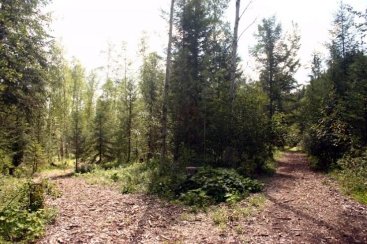 Moores Meadow Nature Park Trip Packages