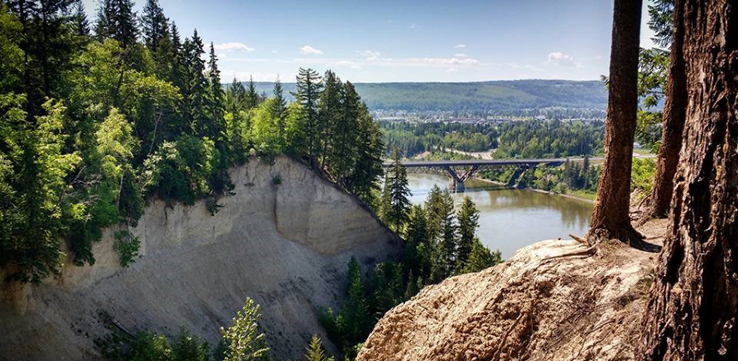 LC Gunn Park Trip Packages