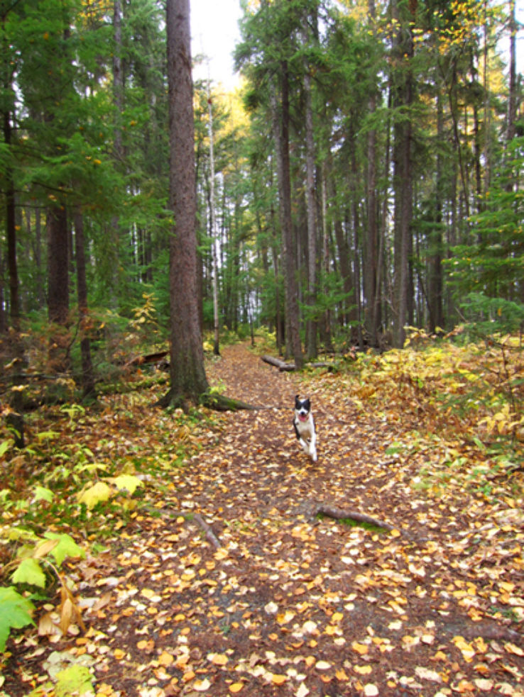 LC Gunn Park Trip Packages