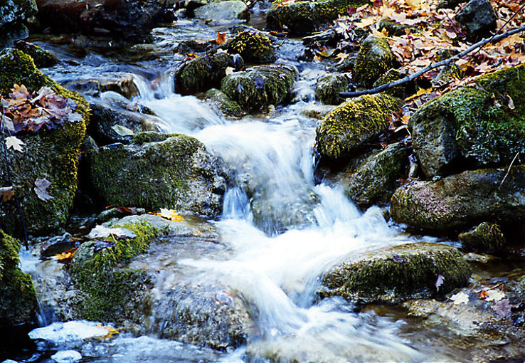 Bruce Trail Trip Packages