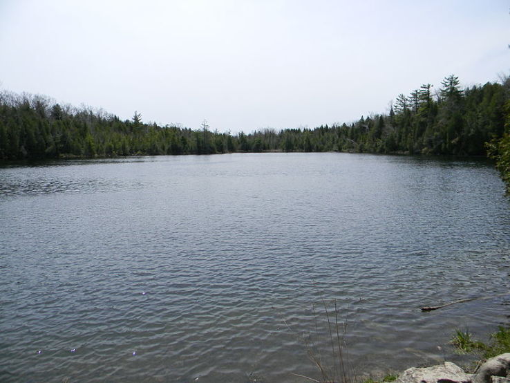 Crawford Lake Conservation Area Trip Packages