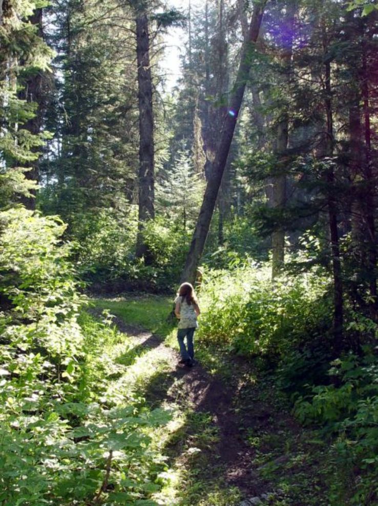 McMillan Creek Regional Park Trip Packages