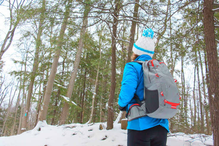  Mount Nemo Conservation Area Trip Packages