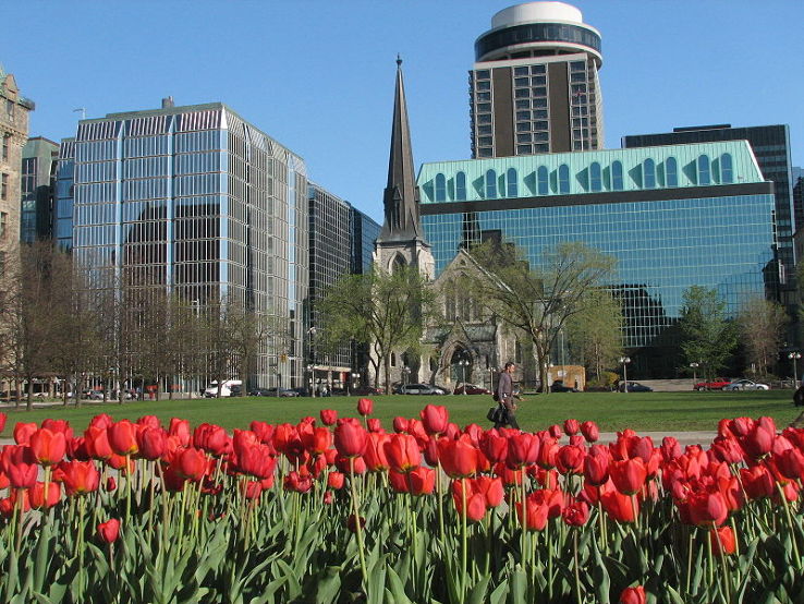  Canadian Tulip Festival Trip Packages