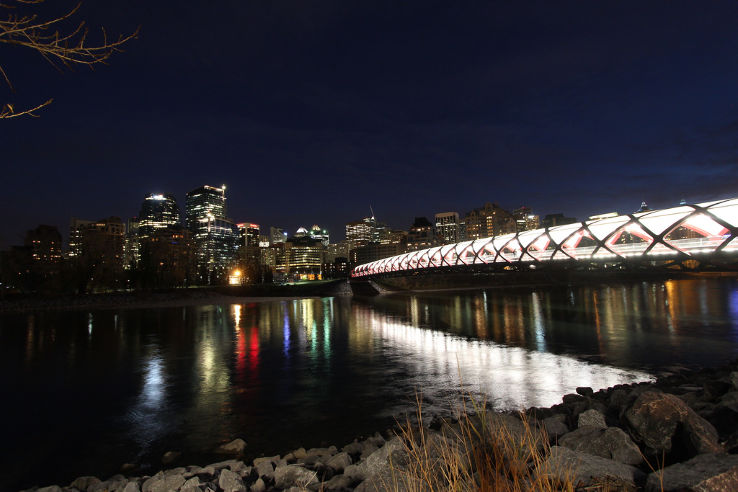 Peace Bridge  Trip Packages