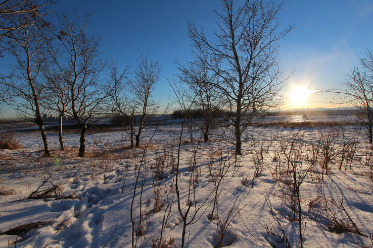 Nose Hill Park  Trip Packages