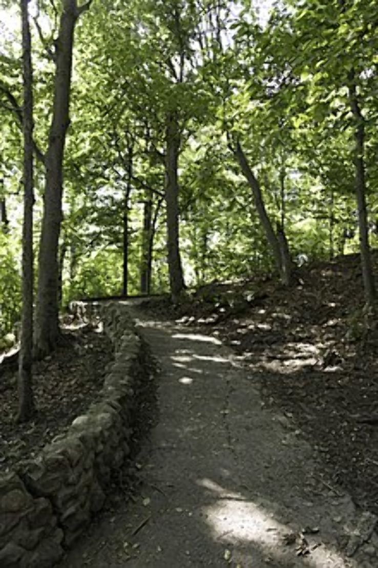 Dominion Arboretum Trip Packages