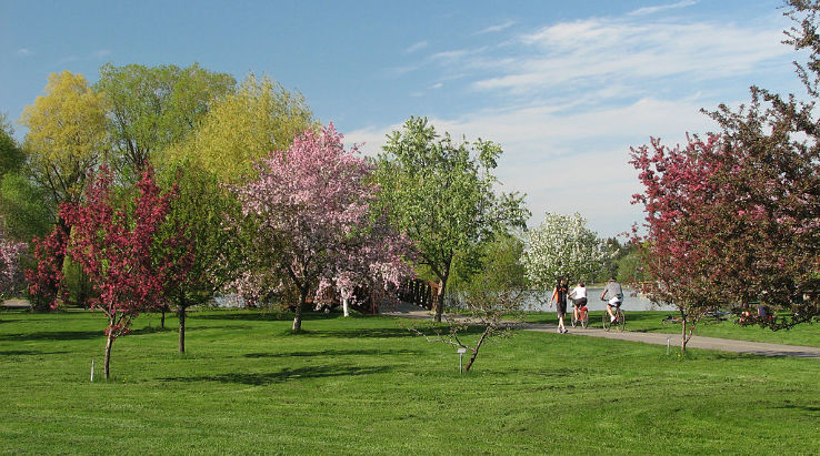 Dominion Arboretum Trip Packages