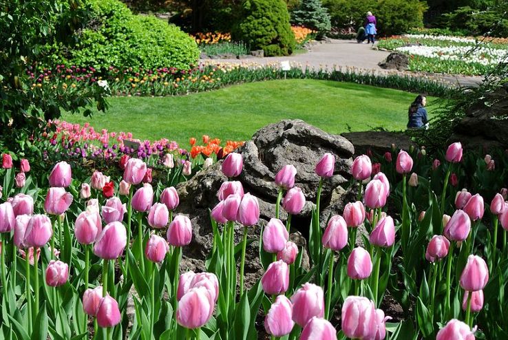 Royal Botanical Garden Trip Packages