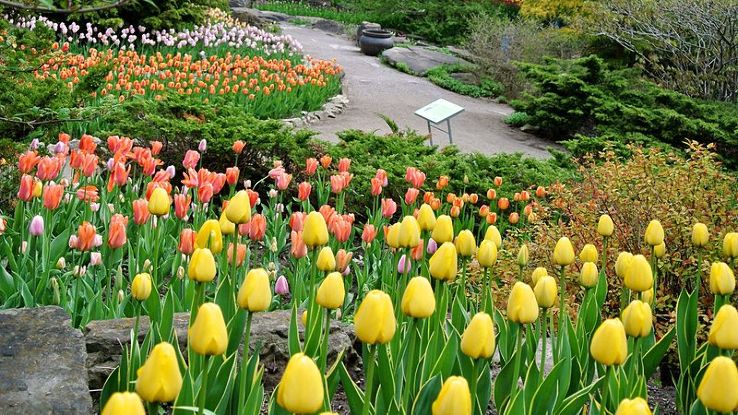 Royal Botanical Garden Trip Packages