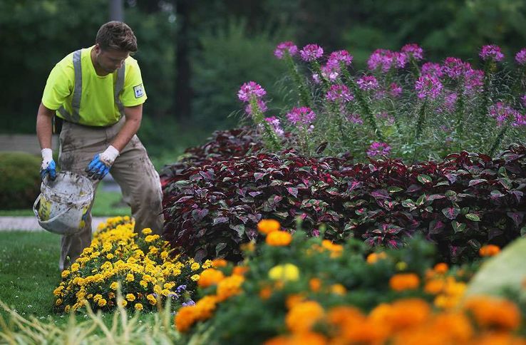 Jackson Park Trip Packages