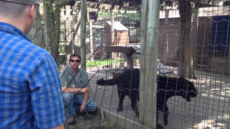 Killman Zoo Trip Packages Killman Zoo Trip Packages