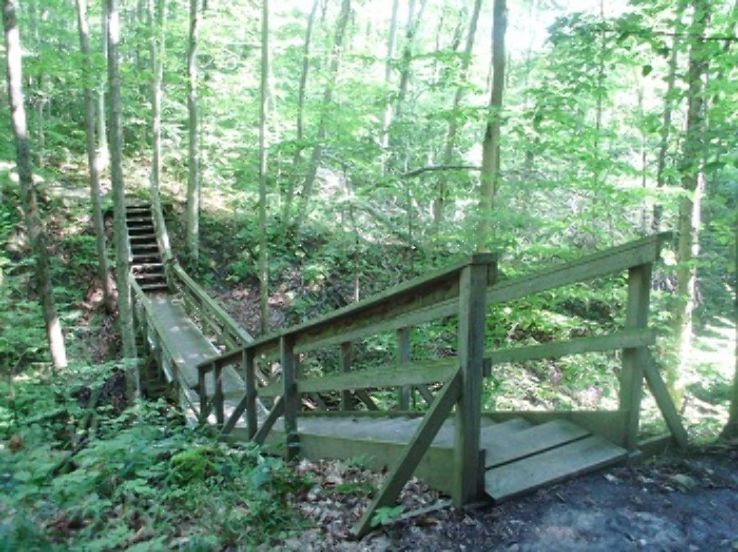 Proctor Park Conservation Area Trip Packages