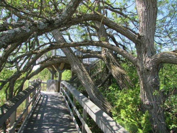 Proctor Park Conservation Area Trip Packages