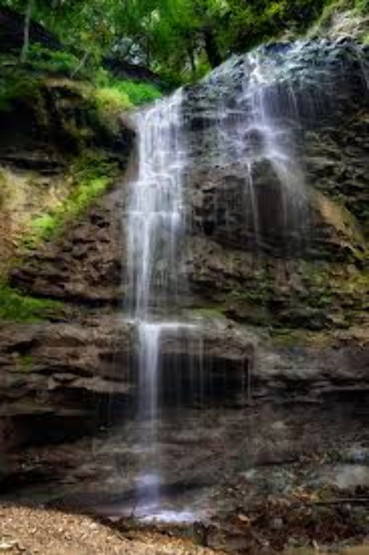 Tiffany Falls  Trip Packages