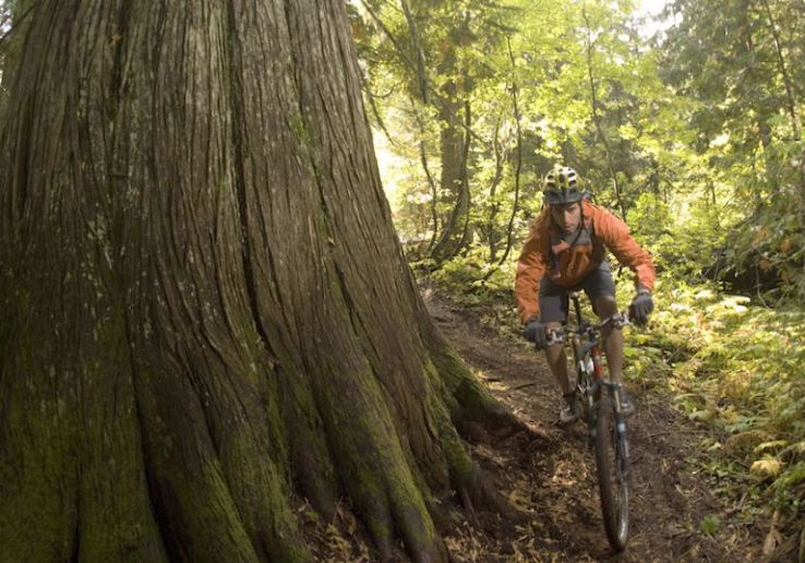 The Nelson area on a mountain bike Trip Packages