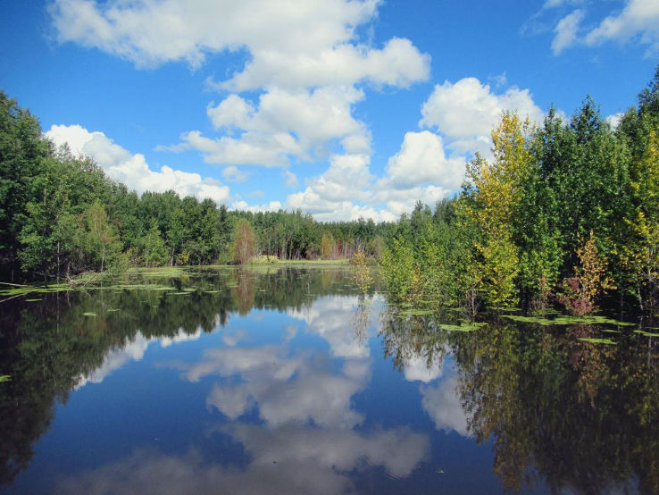Elk Island National Park Trip Packages