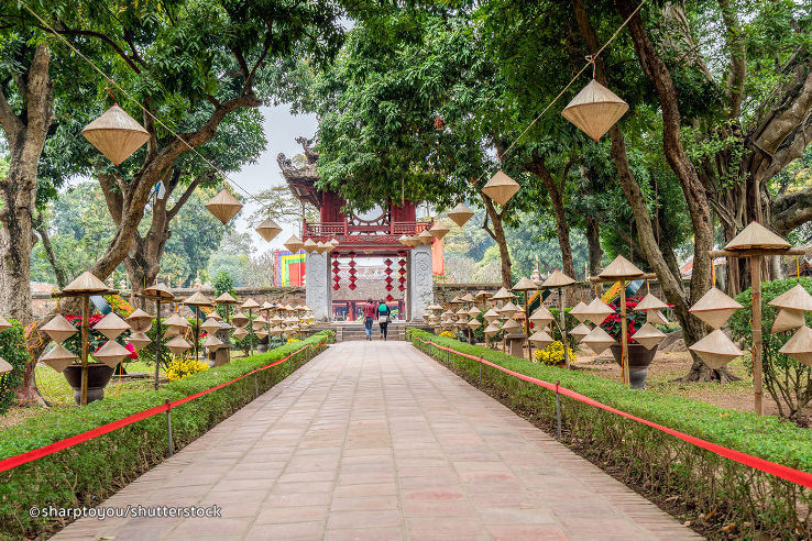 Visit the Temple of Literature  Trip Packages