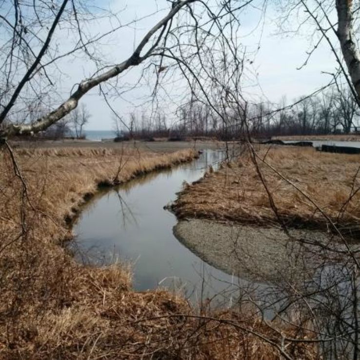 Rattray Marsh Conservation Area Trip Packages